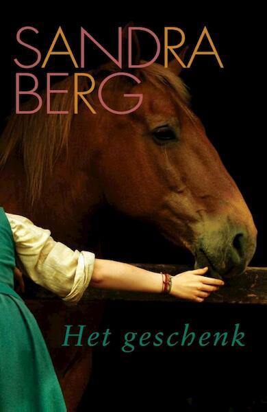 Het geschenk - Sandra Berg (ISBN 9789059776760)