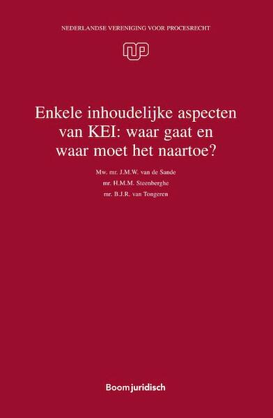 Enkele inhoudelijke aspecten van KEI: waar gaat en waar moet het naartoe? - J.M.W. van de Sande, H.M.M. Steenberghe, B.J.R. van Tongeren (ISBN 9789462903784)