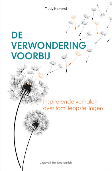 De verwondering voorbij - Trudy Hommel (ISBN 9789083344775)