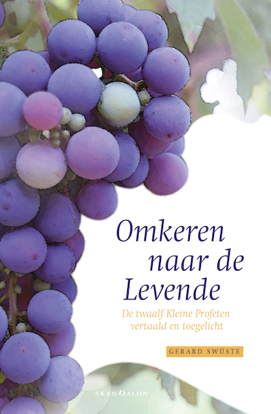 2-pak Omkeren naar de Levende + Uit het leven gegrepen - Gerard Swüste (ISBN 9789493220386)