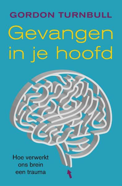 Gevangen in je hoofd - Gordon Turnbull (ISBN 9789022995242)