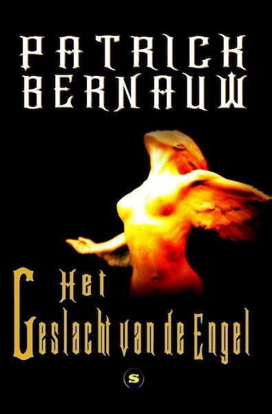 Het geslacht van de engel - Patrick Bernauw (ISBN 9789462660175)