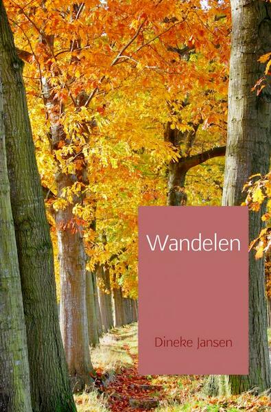 Wandelen - Dineke Jansen (ISBN 9789463678735)