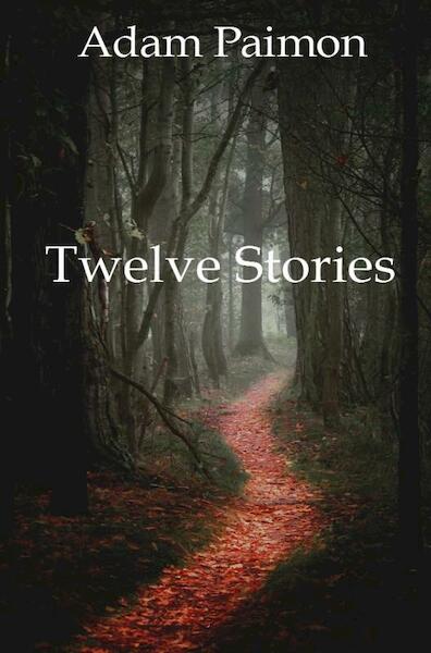 Twelve Stories - Adam Paimon (ISBN 9789464057959)