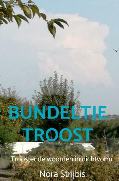 Bundeltje troost - Nora Strijbis (ISBN 9789403606736)