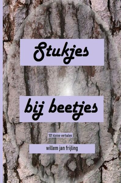 Stukjes bij beetjes - Willem Jan Frijling (ISBN 9789403690315)