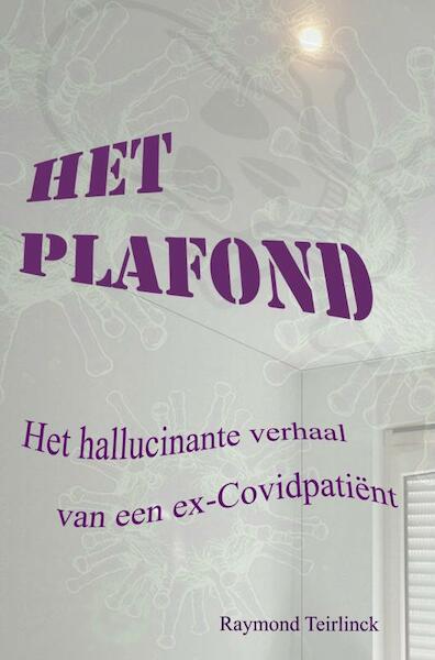 Het Plafond - Raymond Teirlinck (ISBN 9789464857368)