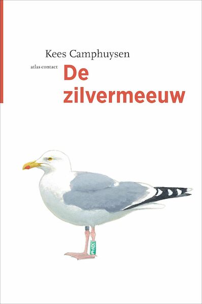 De zilvermeeuw - Kees Camphuysen (ISBN 9789045036045)