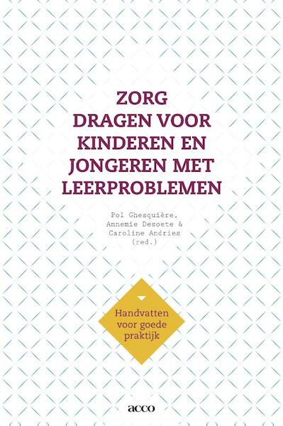 Zorg dragen voor kinderen en jongeren met leerproblemen - Pol Ghesquiere, Annemie Desoete (ISBN 9789033497988)