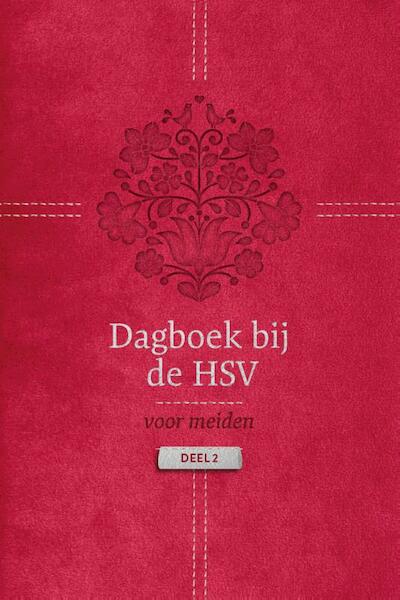 Dagboek bij de HSV voor meiden - Willeke Herwig (ISBN 9789088971808)