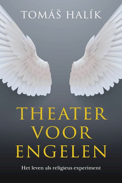 Theater voor engelen - Tomas Halik (ISBN 9789043536448)