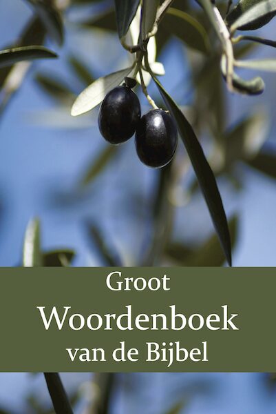 Groot Woordenboek van de Bijbel O-Z - W. Moll, P.J. Veth, F.J. Domela Nieuwenhuis (ISBN 9789057195464)