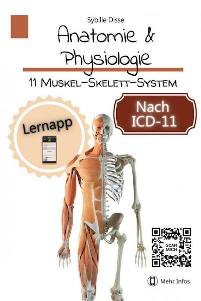 Anatomie & Physiologie Band 11: Muskel-Skelett-System - Sybille Disse (ISBN 9789403694245)