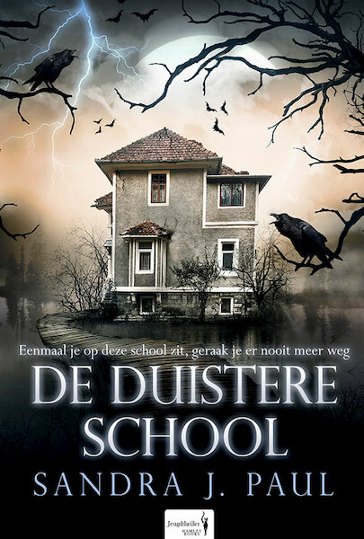 De Duistere School - Sandra J. Paul (ISBN 9789082893953)