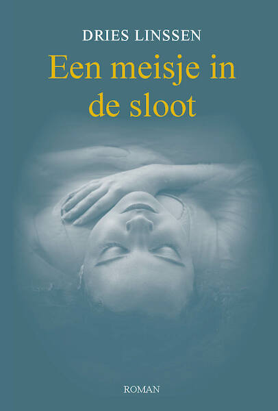 Een meisje in de sloot - Dries Linssen (ISBN 9789461550828)
