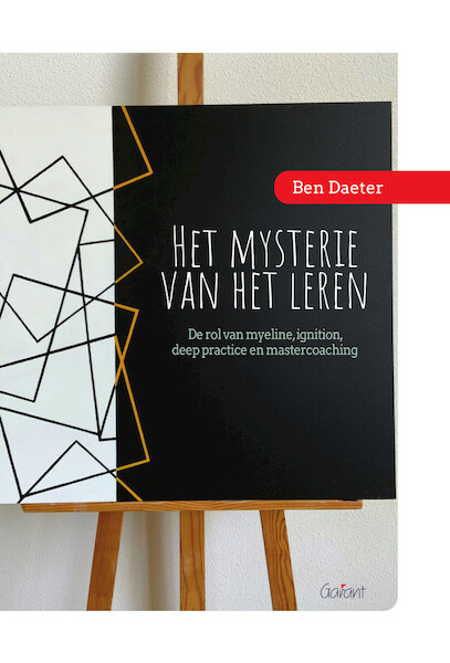 Het mysterie van het leren - Ben Daeter (ISBN 9789044138597)