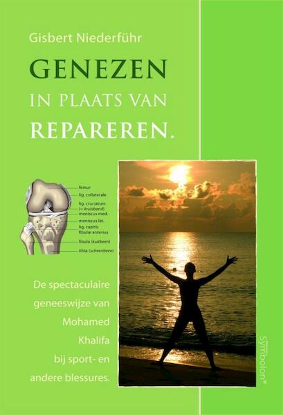 Genezen in plaats van repareren - G. Niederführ (ISBN 9789074899147)
