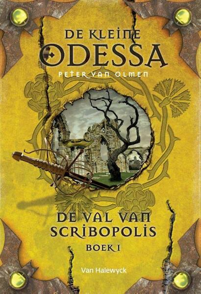 De val van Scribopolis - Peter van Olmen (ISBN 9789461316387)