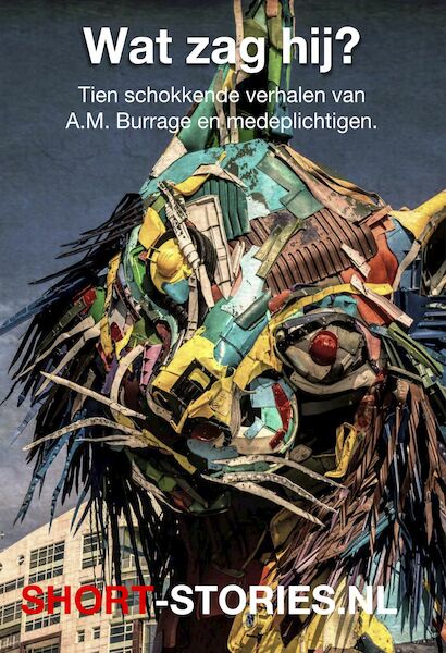 Wat zag hij? - A.M. Burrage, André Maurois, Anton Tsjechov, Eddy C. Bertin, Edward Bulwer-Lytton (ISBN 9789464495232)