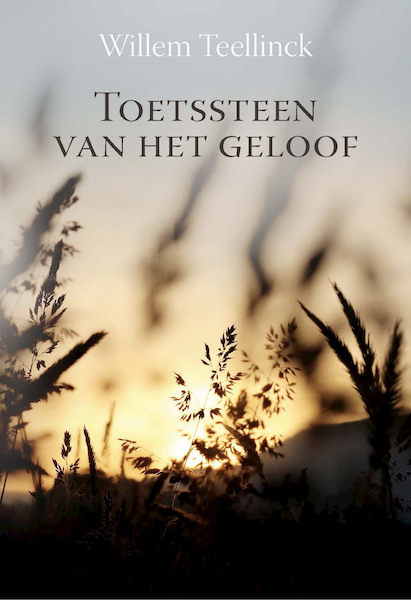 Toetssteen van het geloof - Willem Teellinck (ISBN 9789087185107)