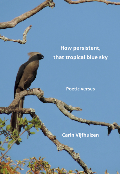 How persistent, that tropical blue sky - Carin Vijfhuizen (ISBN 9789463655002)