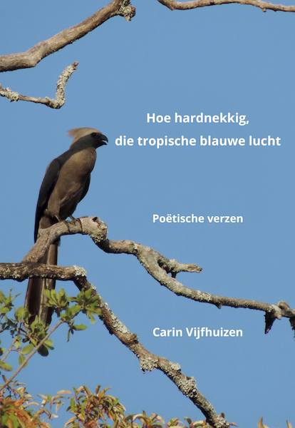 Hoe hardnekkig, die tropische blauwe lucht - Carin Vijfhuizen (ISBN 9789463654999)