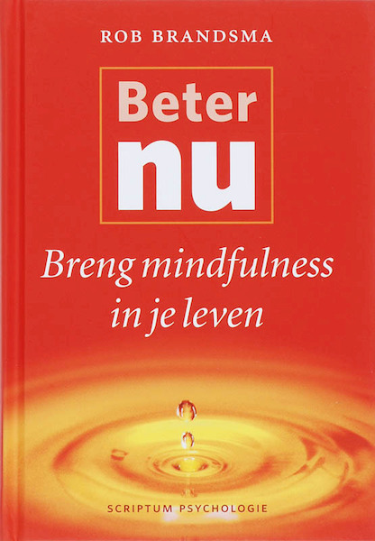 Beter nu - Rob Brandsma (ISBN 9789055945580)