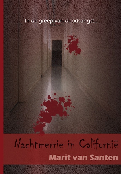 Nachtmerrie in Californië - Marit van Santen (ISBN 9789464061284)