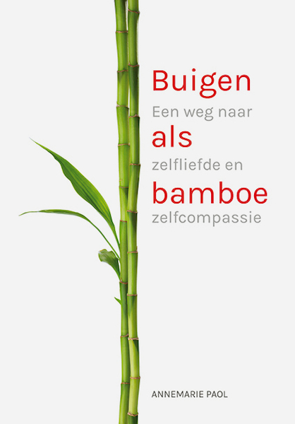 Buigen als bamboe - Annemarie Paol (ISBN 9789090345512)