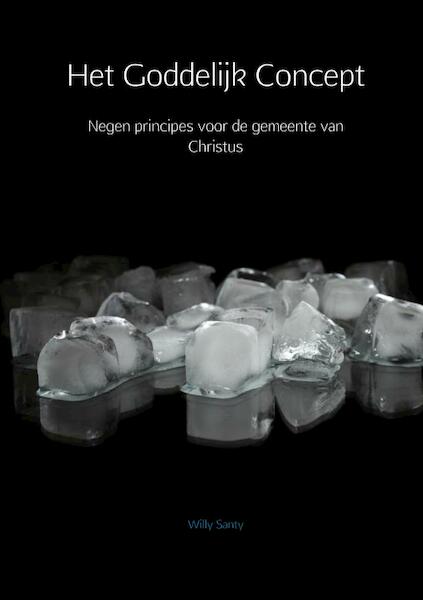 Het Goddelijk Concept - Willy Santy (ISBN 9789402179484)