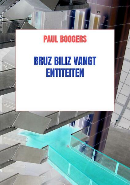 Bruz Biliz vangt entiteiten - Paul Boogers (ISBN 9789464354409)