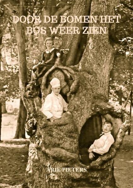Door de bomen het bos weer zien - Arie Pieters (ISBN 9789464857207)