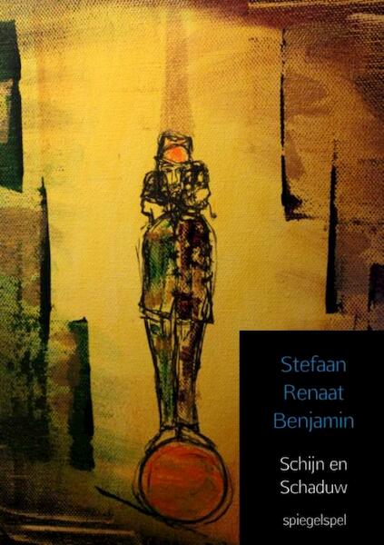 Schijn en schaduw - Stefaan Renaat Benjamin (ISBN 9789402149500)