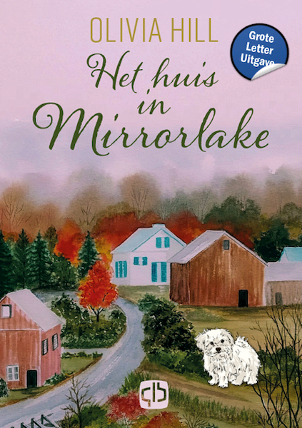 Het huis in Mirrorlake -Grote Letter Uitgave - Olivia Hill (ISBN 9789036440592)