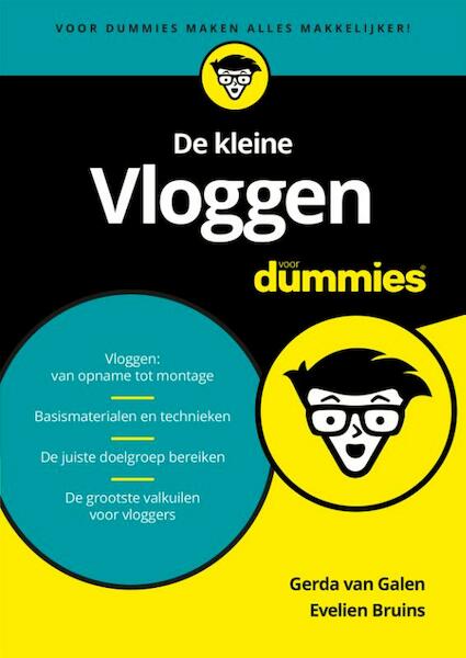 De kleine Vloggen voor Dummies - Gerda van Galen, Evelien Bruins (ISBN 9789045353777)