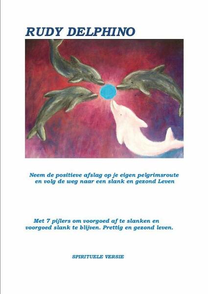 Neem de positieve afslag op je eigen pelgrimsroute en volg de weg naar een slank en gezond leven - Rudy Delphino (ISBN 9789081956314)
