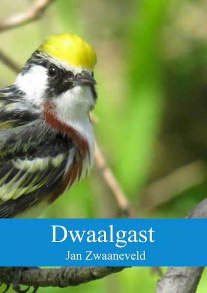 Dwaalgast - Jan Zwaaneveld (ISBN 9789402194821)