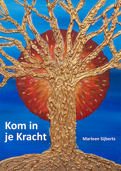 Kom in je kracht - Marleen Sijberts (ISBN 9789493240421)