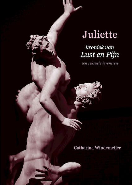 Juliette, kroniek van Lust en Pijn - Catharina Windemeijer (ISBN 9789493280458)