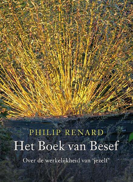 Het boek van besef - Philip Renard (ISBN 9789076681009)