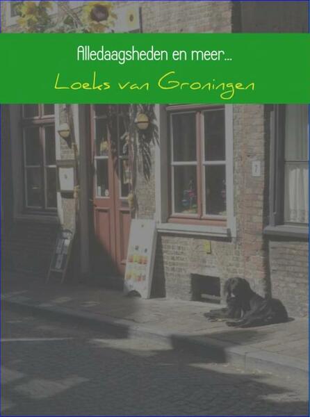 Alledaagsheden en meer... - Loeks van Groningen (ISBN 9789402145533)