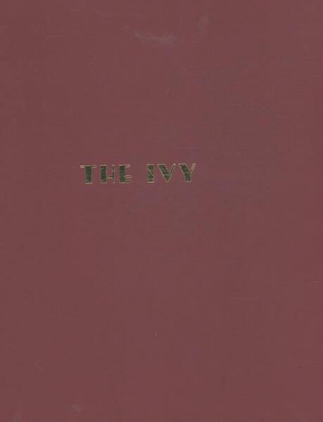 Ivy Now - Fernando Peire (ISBN 9781849498463)