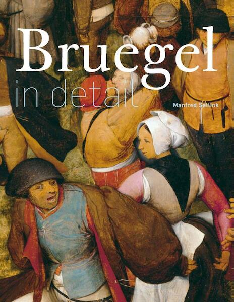 Bruegel in detail - Manfred Sellink (ISBN 9789461301253)