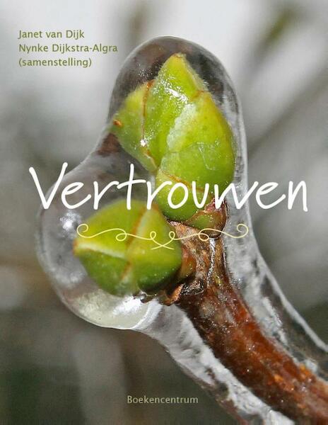 Vertrouwen - Janet van Dijk, Nynke Dijkstra-Algra (ISBN 9789023971207)