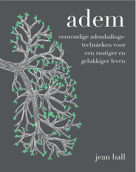 Adem - Jean Hall (ISBN 9789000355228)