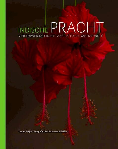 Indische pracht - Dennis A-Tjak, Bea Brommer (ISBN 9789460224935)