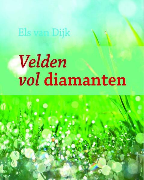 Velden vol diamanten - Els J. van Dijk, Els van Dijk (ISBN 9789058816351)
