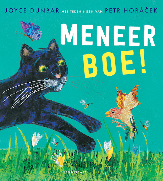 Meneer boe! - Joyce Dunbar (ISBN 9789047712756)