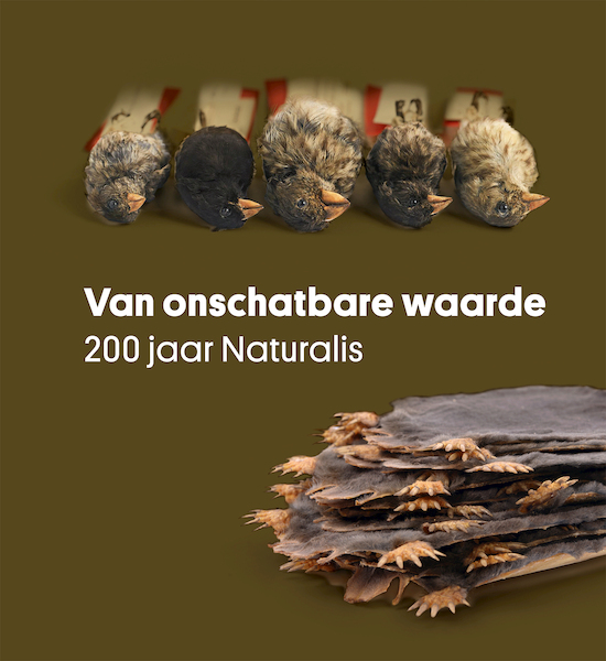 Van onschatbare waarde - (ISBN 9789462497276)