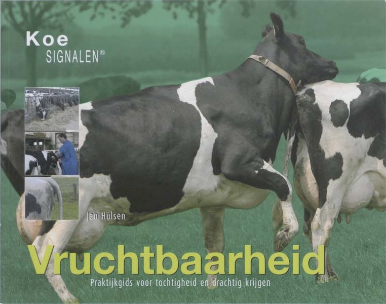 Vruchtbaarheid - Jan Hulsen, B. Klein Swormink (ISBN 9789087400118)